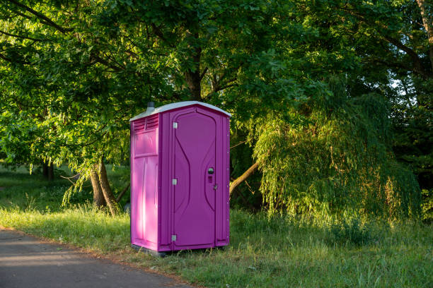 Best Porta potty rental for festivals  in Leslie, MI